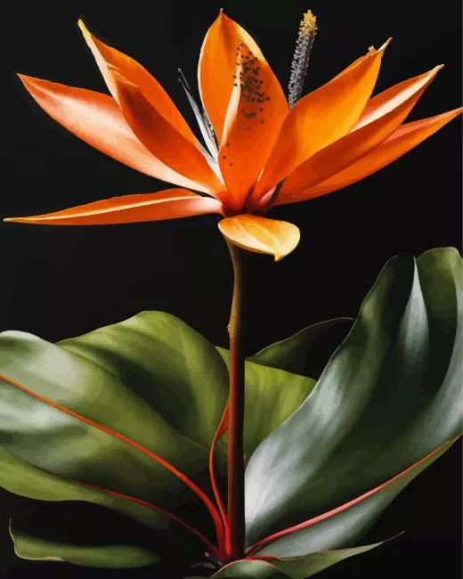 green and orange Bird of paradise Diamond Paints Green And Orange Bird Of paradise Diamond Painting