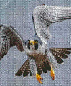 Grey Falcon Bird Diamond Painting