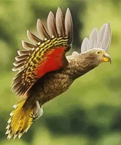 Grey And Red Kea Bird Diamond Painting