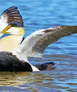 Happy Common Eider Diamond Painting