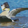 Happy Common Eider Diamond Painting