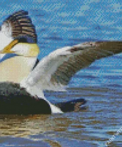 Happy Common Eider Diamond Painting