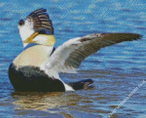 Happy Common Eider Diamond Painting