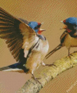 Happy Swallow Birds Diamond Painting