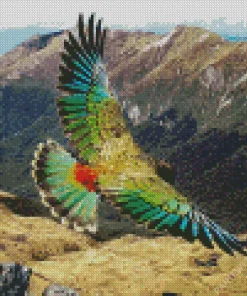 Kea Bird Diamond Painting