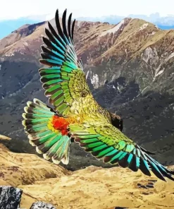 Kea Bird Diamond Painting