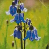 Light Purple Bluebonnet Diamond Painting