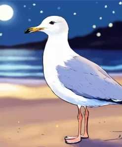 Little Seagull At Night On The Beach Diamond Painting