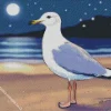 Little Seagull At Night On The Beach Diamond Painting