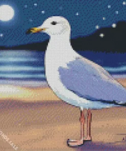 Little Seagull At Night On The Beach Diamond Painting