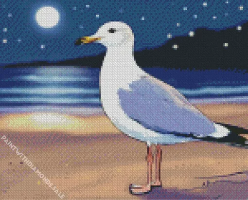 Little Seagull At Night On The Beach Diamond Painting