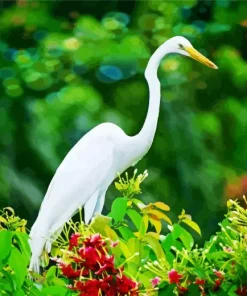 Long Great Egret Diamond Painting