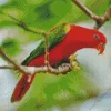 Lorius Bird Diamond Painting