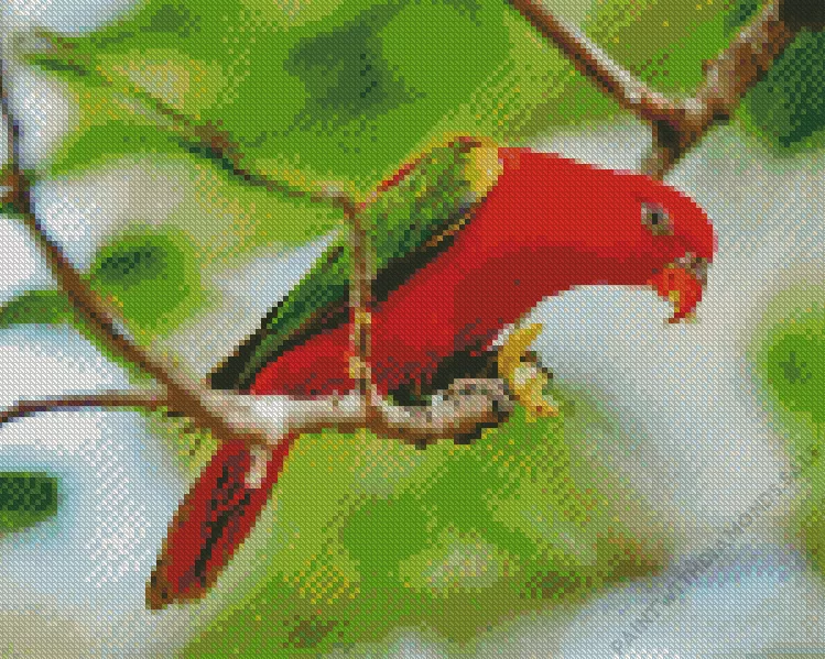 lorius bird Diamond Dotz Lorius Bird Diamond Painting
