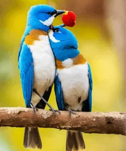 Lovely Lovebirds Diamond Painting