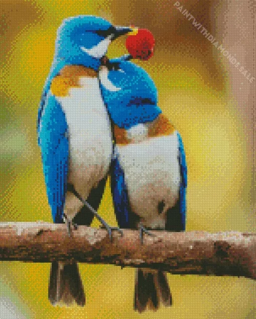 Lovely Lovebirds Diamond Painting