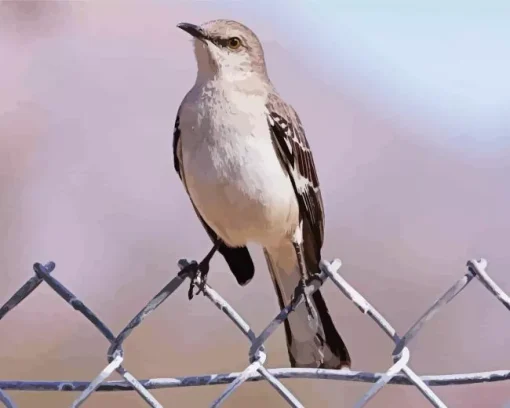 Lovely Mockingbird Diamond Painting