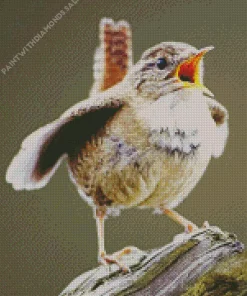 Lovely Wren Diamond Painting