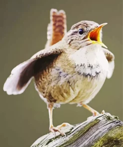 Lovely Wren Diamond Painting