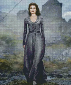 Maid Marian character Diamond Painting