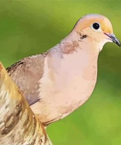 Mourning Dove Art Diamond Painting