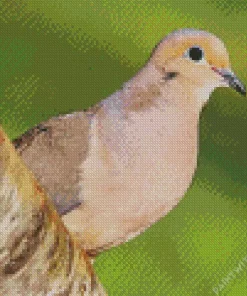 Mourning Dove Art Diamond Painting