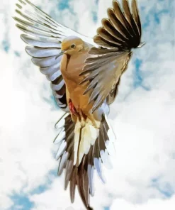 Mourning Dove Flying Art Diamond Painting