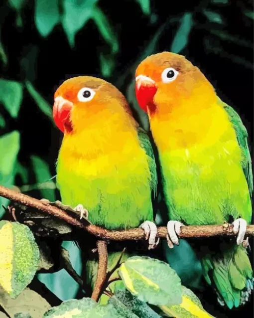 Orange And Green Lovebirds Diamond Painting