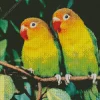 Orange And Green Lovebirds Diamond Painting