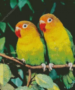 Orange And Green Lovebirds Diamond Painting