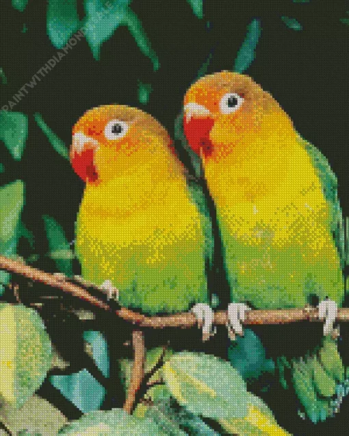 Orange And Green Lovebirds Diamond Painting