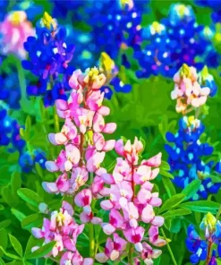 Pink Bluebonnets Diamond Painting