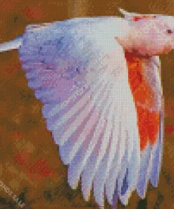 Pink Cockatoo Diamond Painting