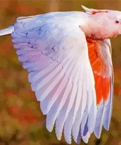 Pink Cockatoo Diamond Painting