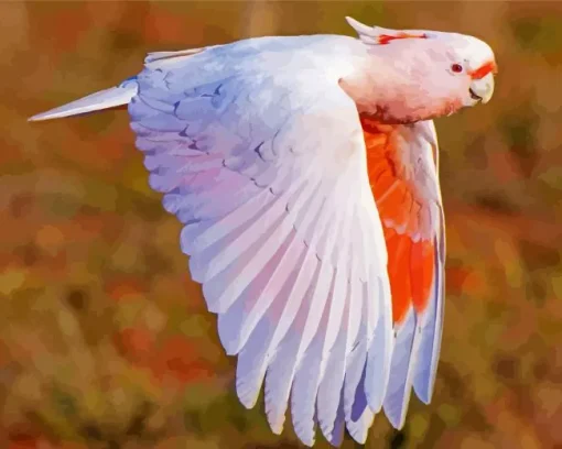 Pink Cockatoo Diamond Painting