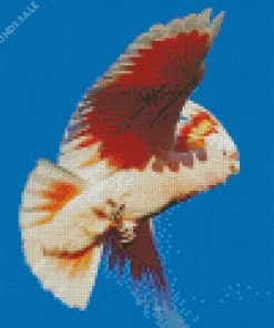 Pink Cockatoo Bird Diamond Painting