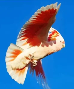 Pink Cockatoo Bird Diamond Painting