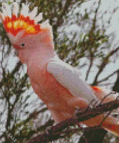 Pink Cockatoo On A Branch Diamond Painting