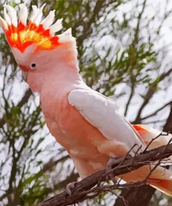 Pink Cockatoo On A Branch Diamond Painting