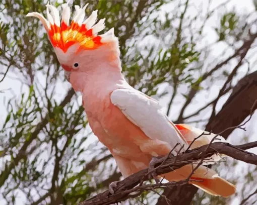 Pink Cockatoo On A Branch Diamond Painting