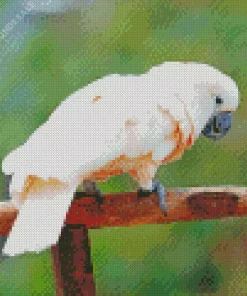 Pink Salmon Crested Cockatoo Diamond Painting