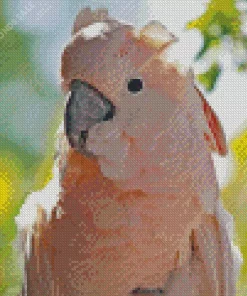 Pink Salmon Crested Cockatoo Head Diamond Painting