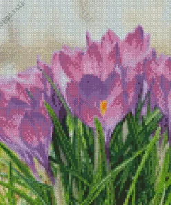 Purple Crocus Diamond Painting