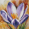 Purple And Yellow Crocus Diamond Painting