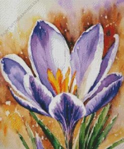 Purple And Yellow Crocus Diamond Painting