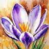 Purple And Yellow Crocus Diamond Painting
