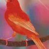 Red Canary Bird Diamond Painting