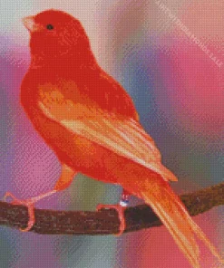 Red Canary Bird Diamond Painting