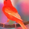 Red Canary Bird Diamond Painting