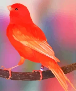 Red Canary Bird Diamond Painting